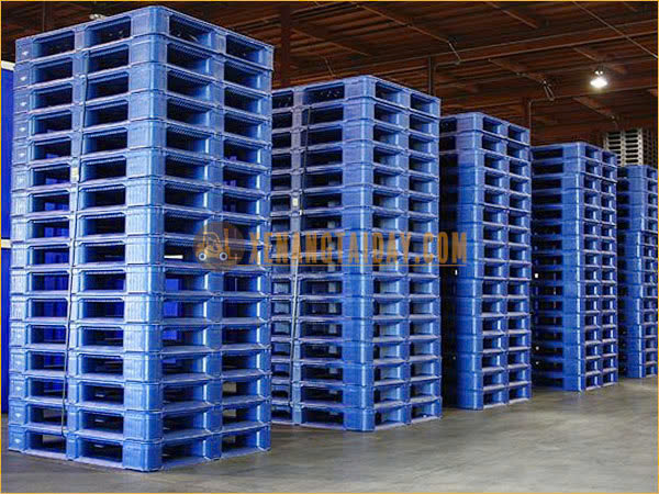 Xưởng sản xuất pallet nhựa