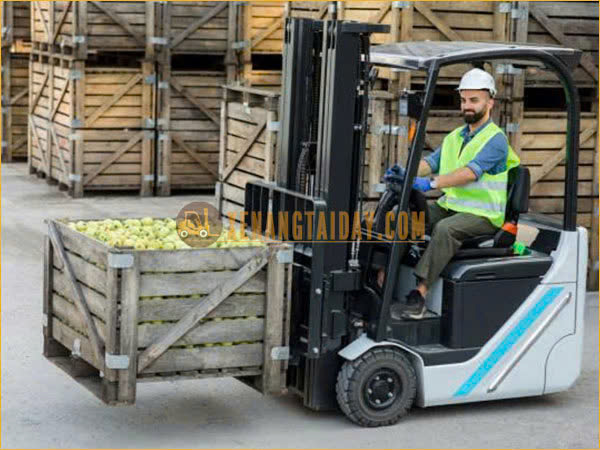 Xe nâng điện trong kho thực phẩm