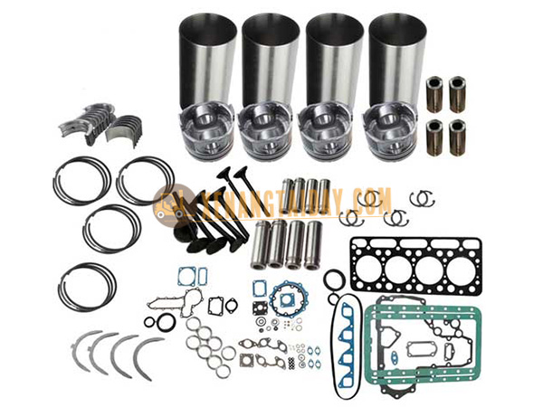 Trọn bộ ron đại tu Isuzu C240