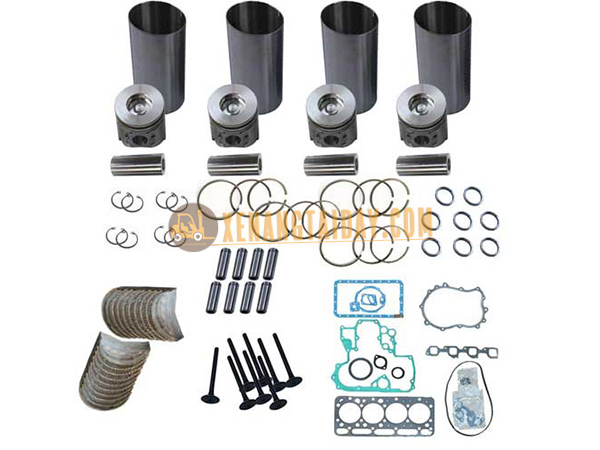 Trọn bộ ron đại tu Isuzu C240