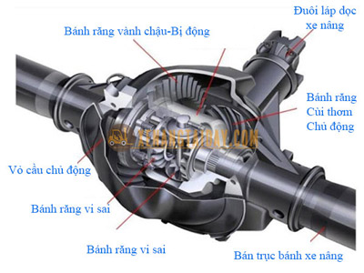 Bộ vi sai, cầu chủ động xe nâng - Chức năng, cấu tạo và nguyên lý hoạt động