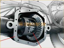 Những điều cần biết về dầu cầu xe nâng