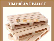 Tìm hiểu các loại pallet được ứng dụng trong ngành xe nâng