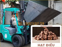Ứng dụng xe nâng hàng trong thu hoạch hàng điều tại Bình Phước