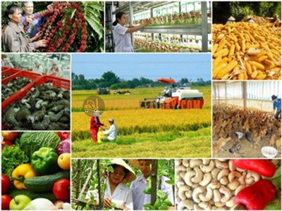 Ứng dụng xe nâng trong ngành nông nghiệp