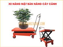 Xe nâng mặt bàn,  xe nâng cây kiểng phục vụ Tết giá rẻ giao hàng toàn quốc