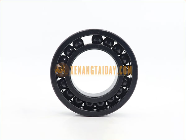 Bạc đạn khung xe nâng điện đứng TCM