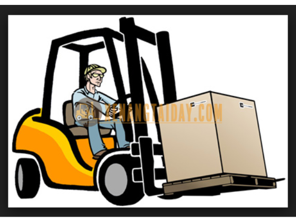 Hướng Dẫn Lái Xe Nâng Hàng: Các Bước Lái Cơ Bản 2024