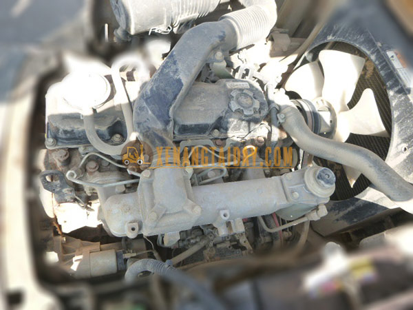 Xe nâng dầu TCM FD30T3